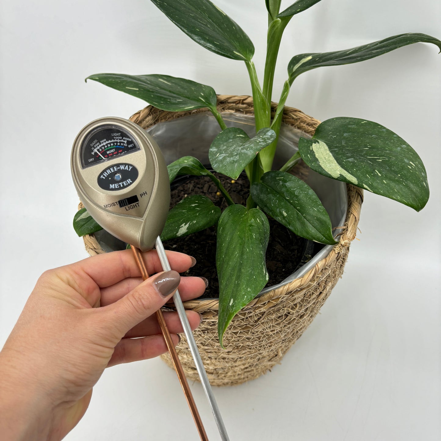 Soil Moisture Meter