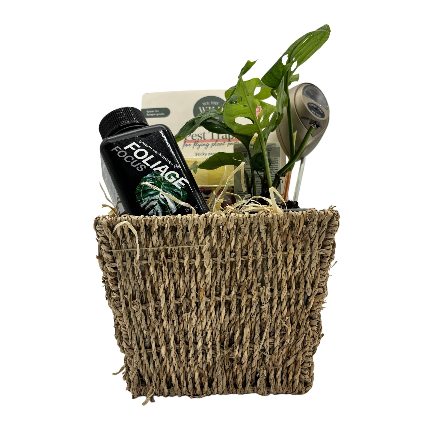 Get My Plant Journey Started Hamper