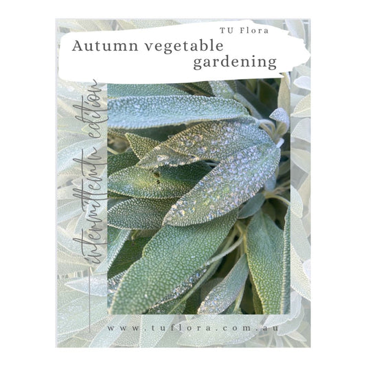 Autumn Intermittent Vegetable Gardening E-guide