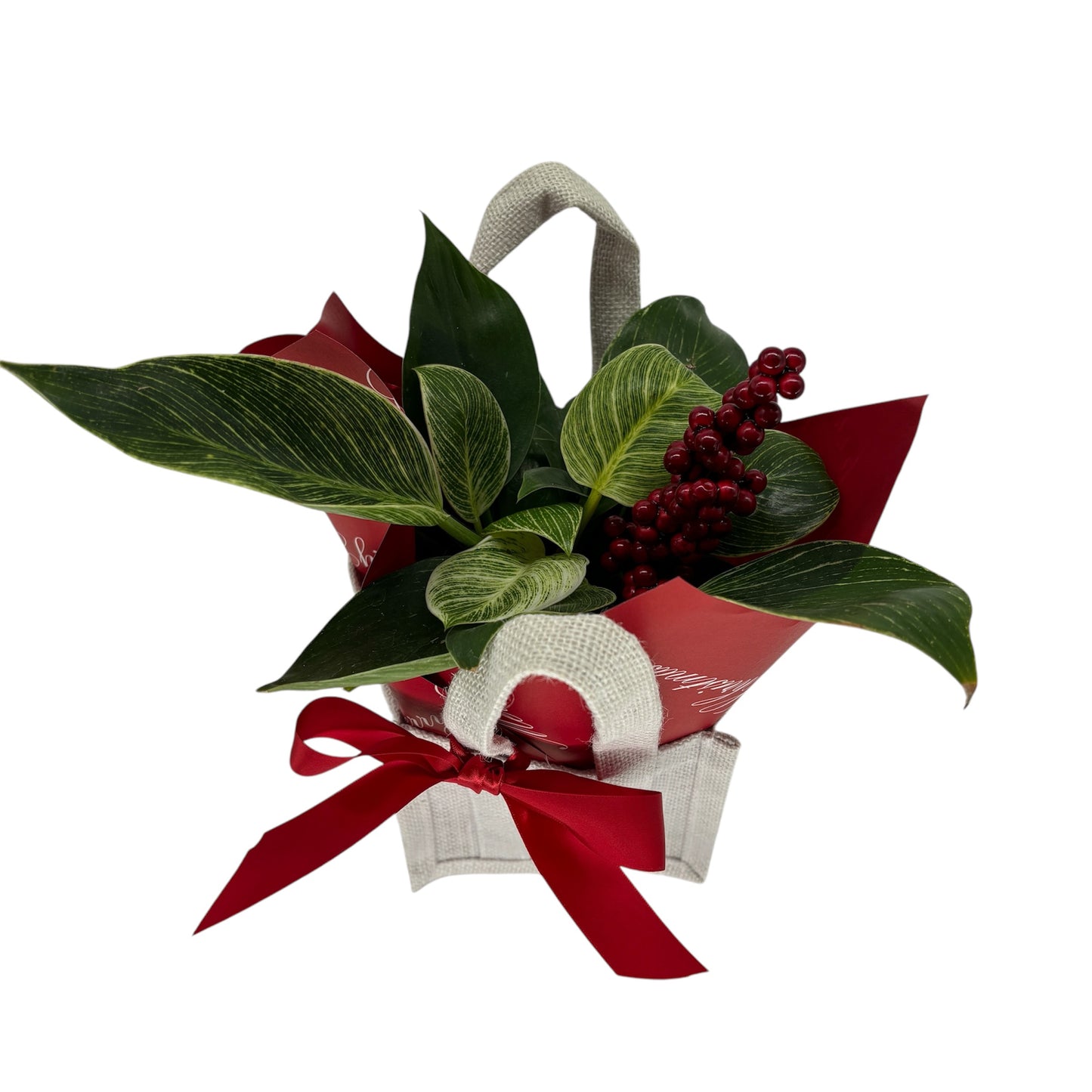 Christmas Gift Plants