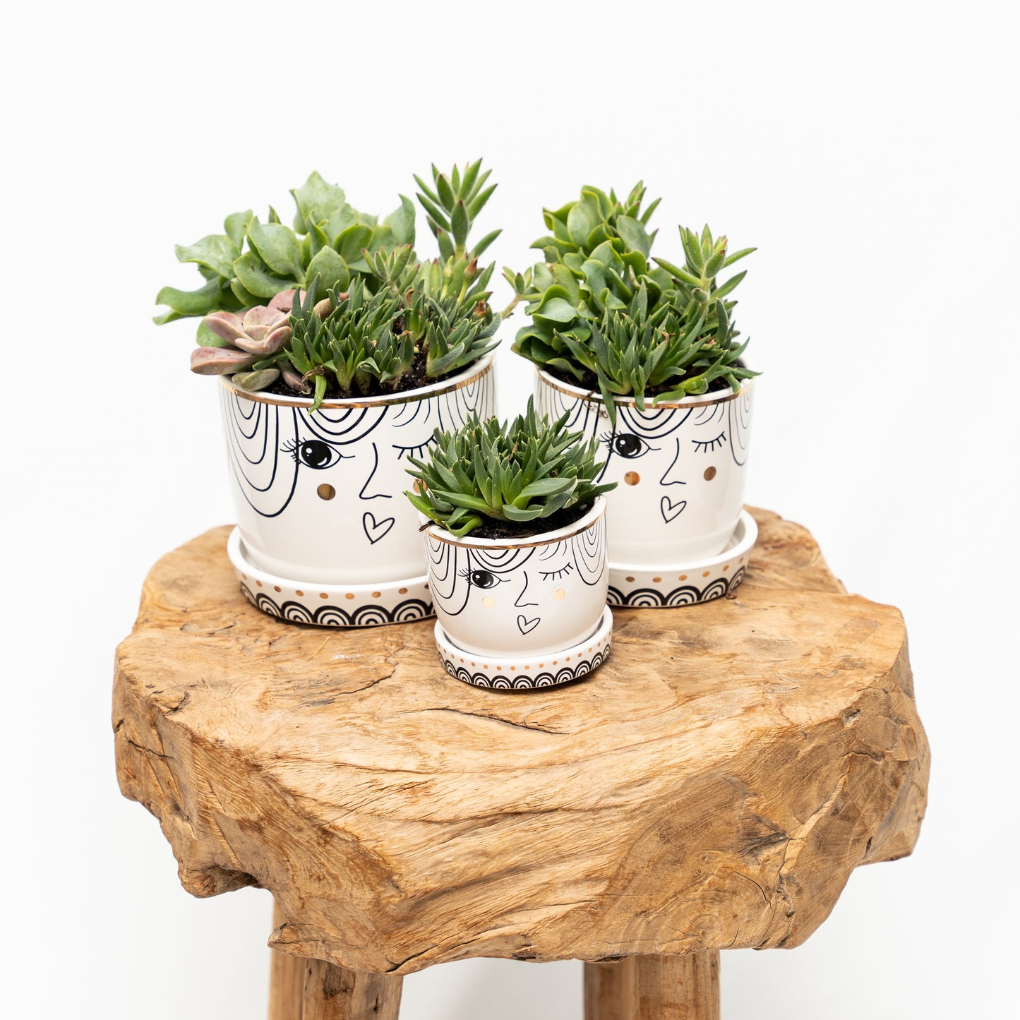 'The Girl Will Always Live Within Us' Succulent Set of 3