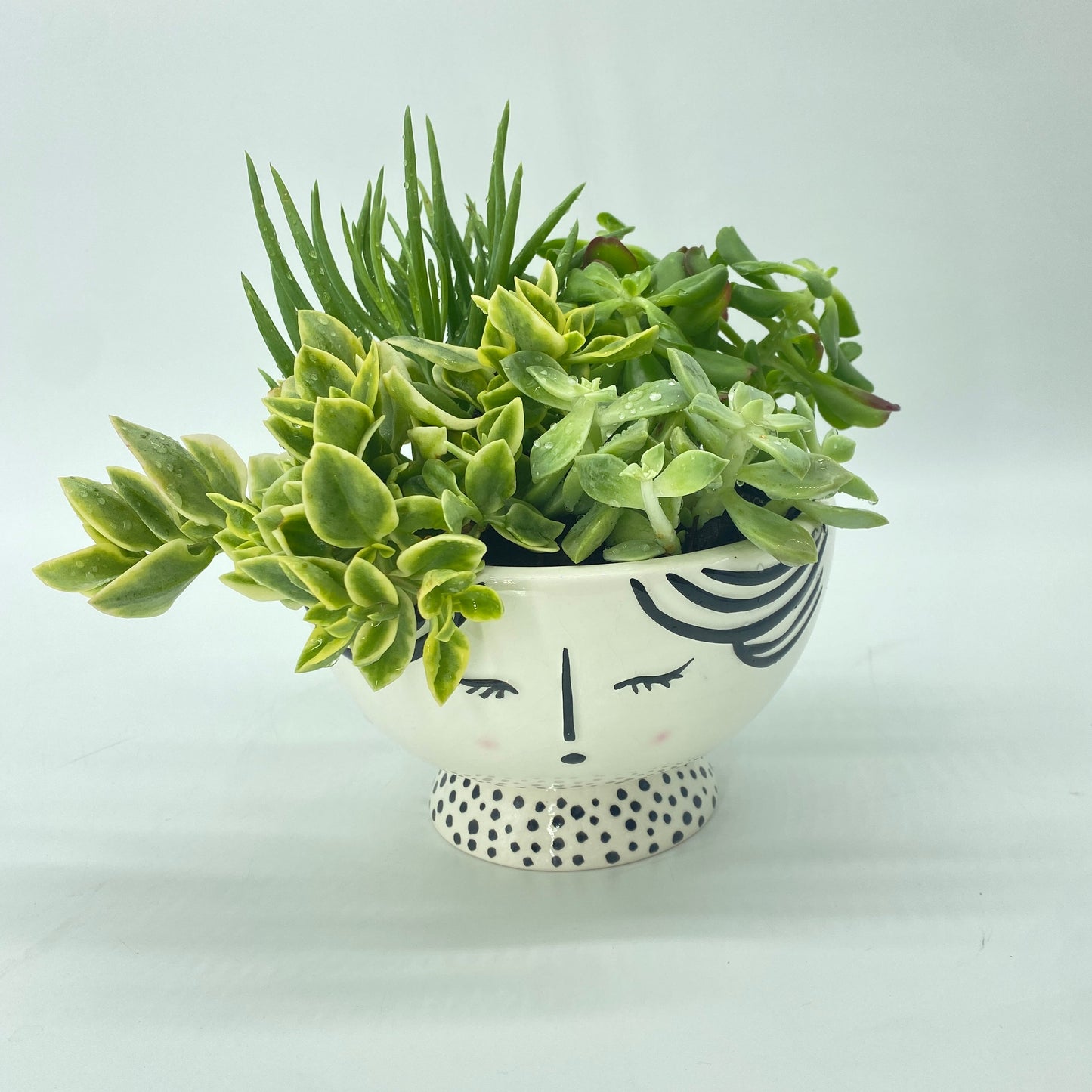 'Full of Foils' Succulent Bowl