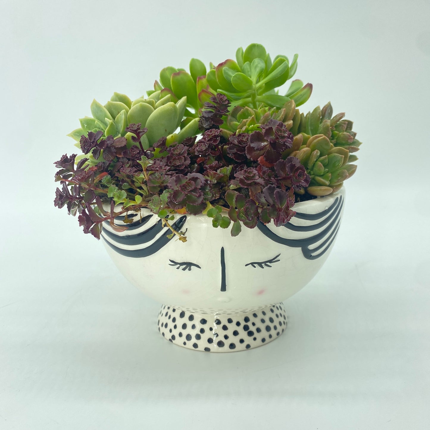 'Full of Foils' Succulent Bowl