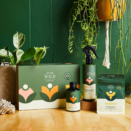 Essential Plant Care Kit - We The Wild